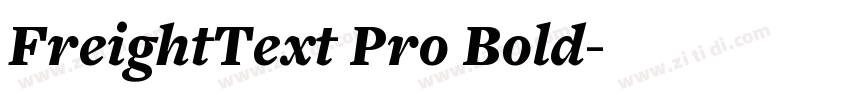 FreightText Pro Bold字体转换